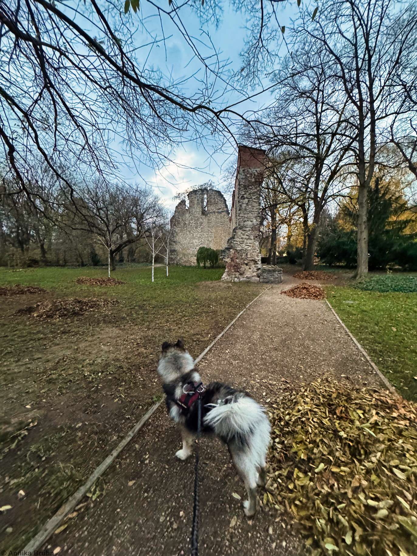 Q an der Franziskanerkirche